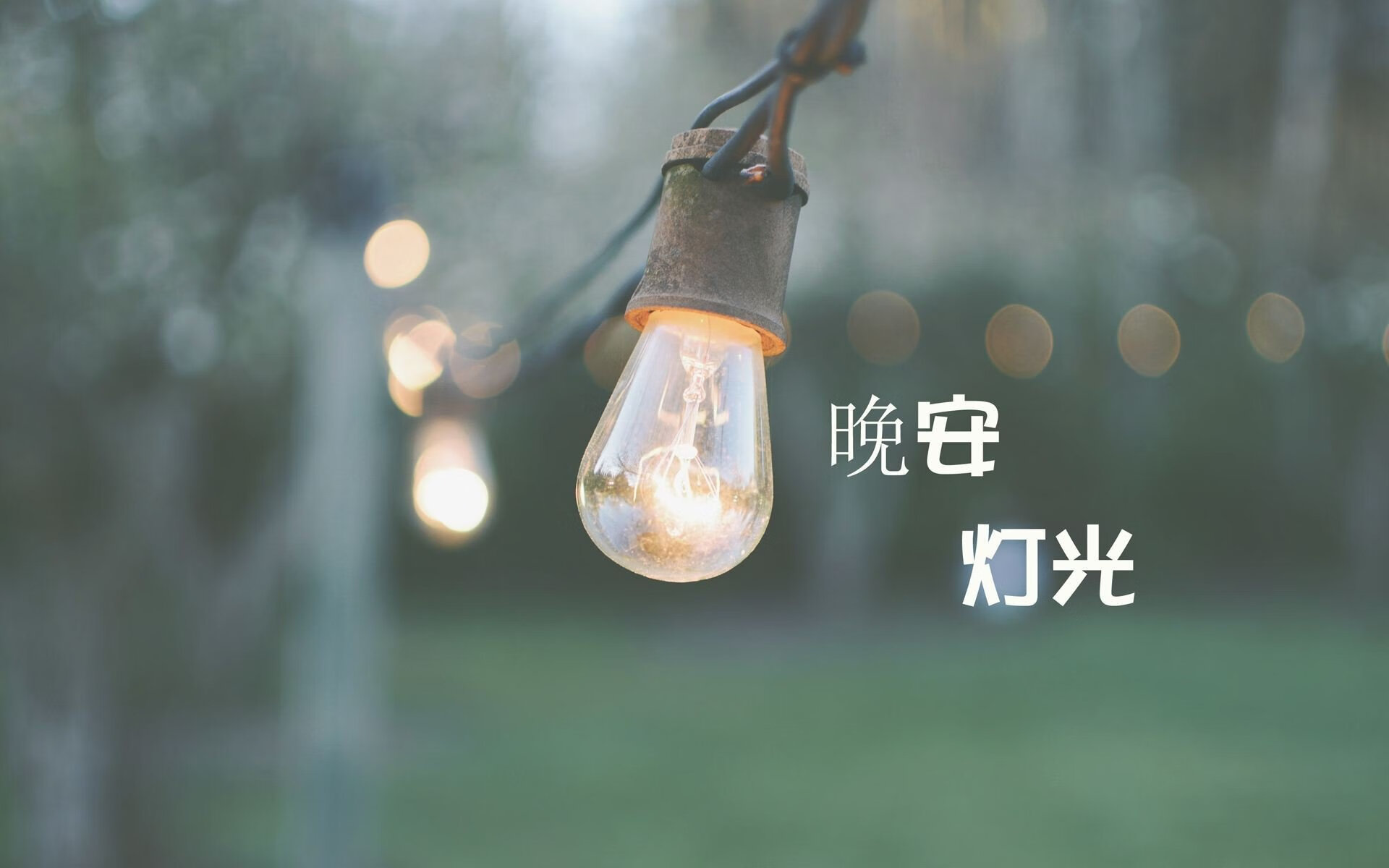 _鹈鹕队表现抢眼，战绩持续提升_，鹈鹕队人员名单