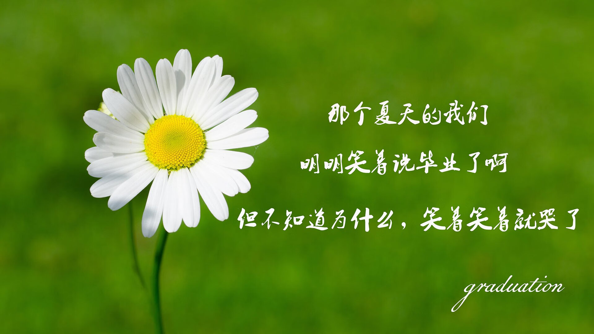 下载乐鱼体育APP-足球教练员继续教育体系向社会开放，2021足球教练员培训报名
