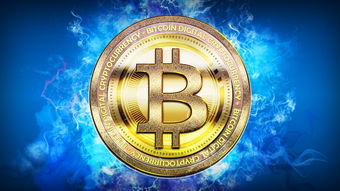 下载乐鱼体育APP-体育新闻中心协办全国体育数字内容技术交流大会，体育数字化