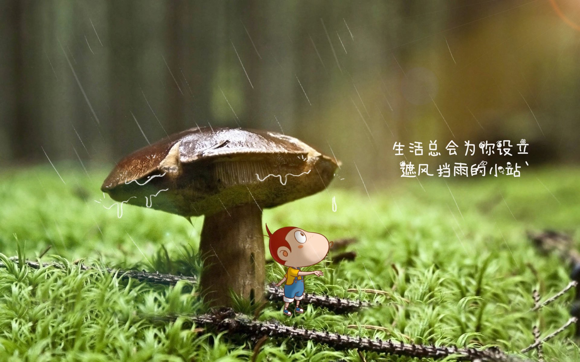 乐鱼电竞· (中国)官方网站-字母哥带队逆转雄鹿晋级季后赛，字母哥雄鹿报道视频