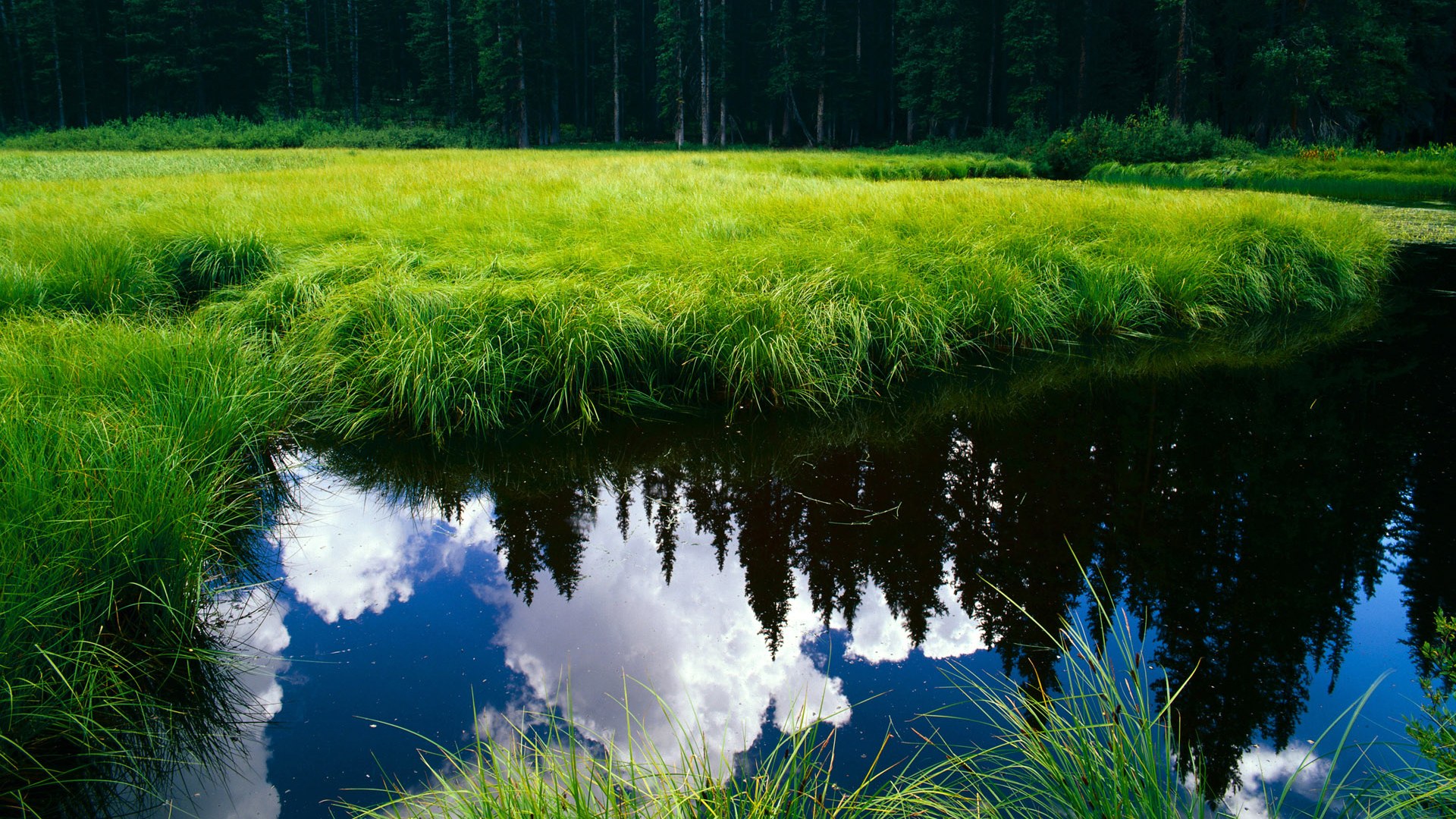 法甲精彩集锦:精彩瞬间连连,精彩纷呈!,法甲的比赛