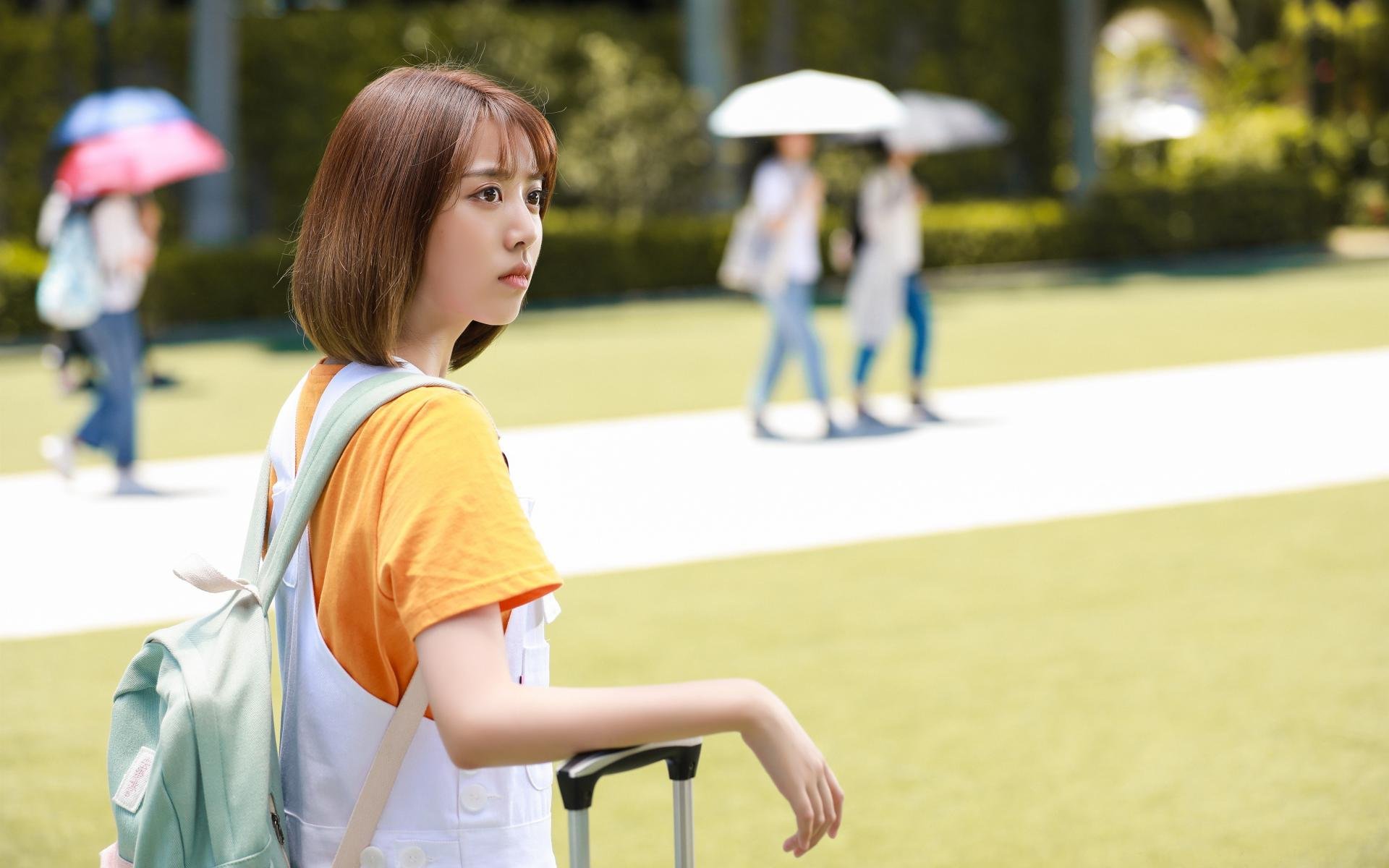 澳大利亚橄榄球收视率节节攀升,澳大利亚橄榄球比赛规则