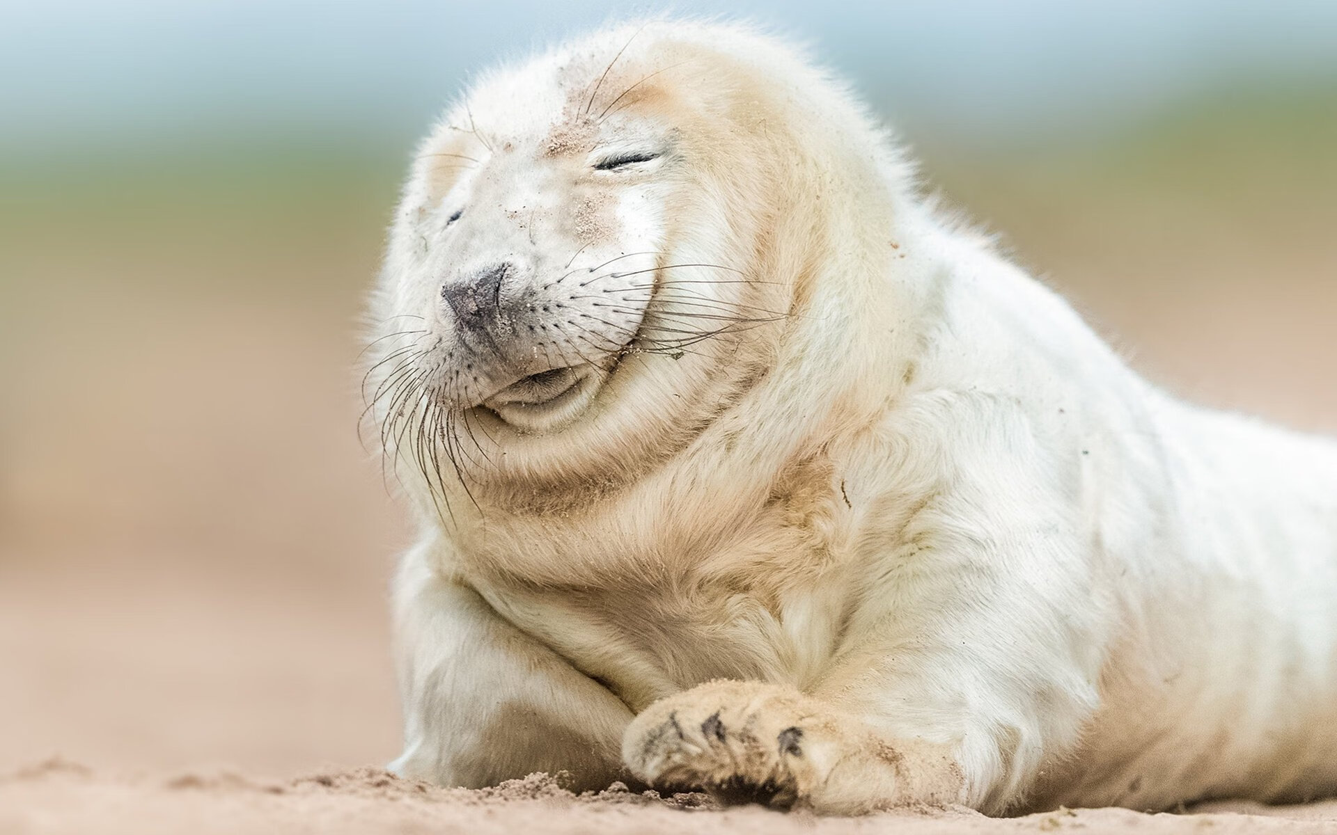 乐鱼电竞在线平台-福特：凭借敏锐的场上嗅觉，成功帮助全黑队解锁对方防线，福特suv黑色